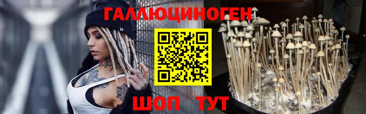 Новый Уренгой  Галлюциногенные грибы Psilocybine cubensis  Вход с VPN 